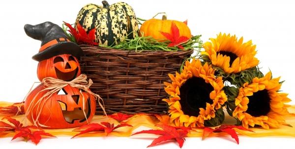 autumn basket celebration