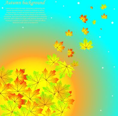 autumn beautiful background vector set