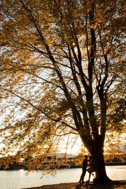 autumn branch bright calm countryside environment