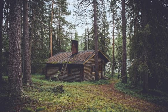 autumn building cabin conifer daytime dwelling