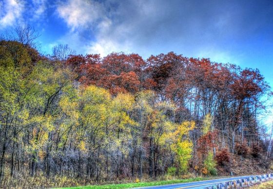 autumn colors by the roadside at wildcat mountain state park wisconsin