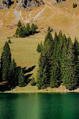 autumn conifer evergreen fall forest grass lake