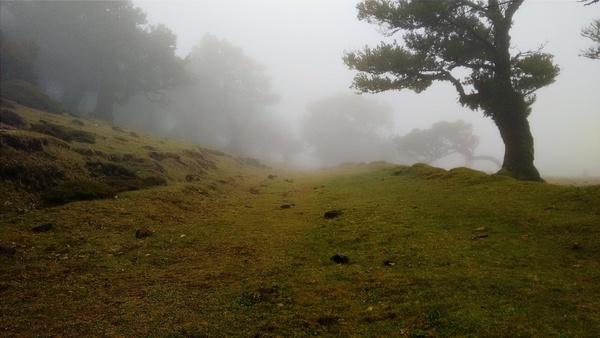autumn countryside fall fog forest grass hill