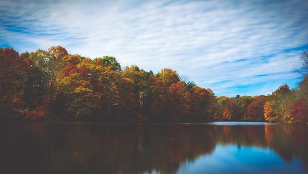 autumn daytime environment fall forest idyllic lake