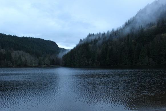 autumn daytime environment fog forest lake landscape