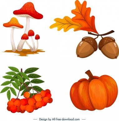autumn design elements mushroom chestnut pumpkin cherry sketch
