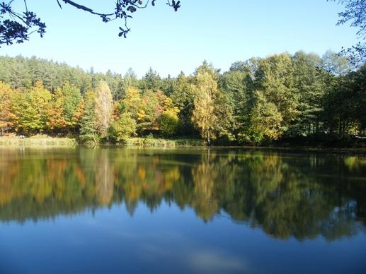 autumn emerge pond