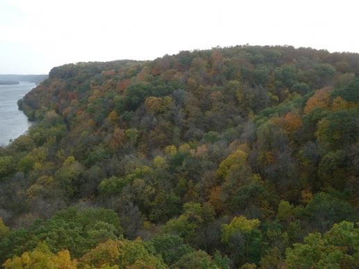autumn forest at effigy mounds iowa