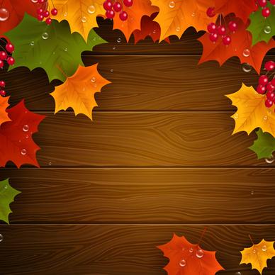 autumn harvest backgrounds vector