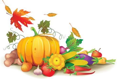 autumn harvest elements vector background set
