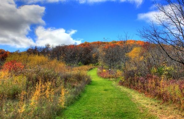 autumn hiking path in blue mound state park wisconsin