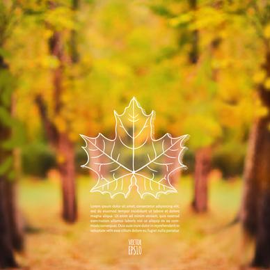 autumn leaf outline with blurred background vector