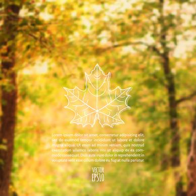 autumn leaf outline with blurred background vector