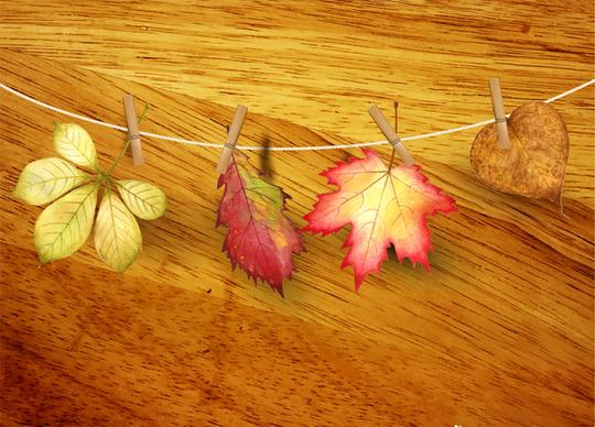 autumn leaf realistic on wooden background