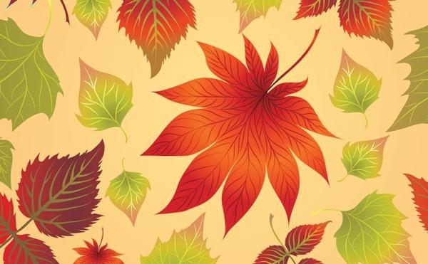 autumn leaves background closeup colorful decoration