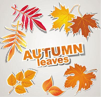 autumn leaves design elements vector