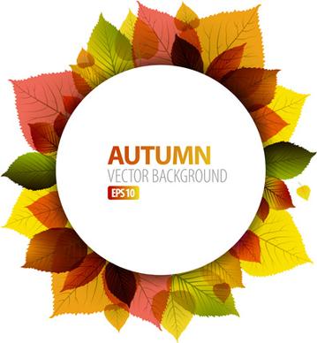 autumn leaves frame vector background