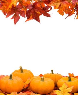 autumn leaves pumpkin picture frame 01 hd pictures