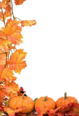 autumn leaves pumpkin picture frame 05 hd pictures