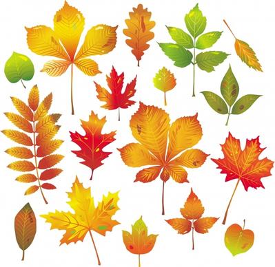autumn leaf icons colorful bright shapes design