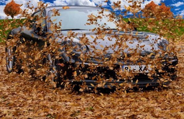 yellow leaves splashing around modern car