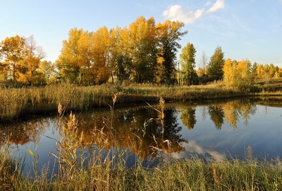 autumn river landscape