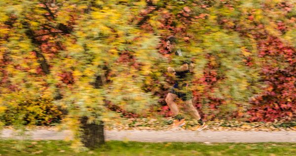 autumn runner