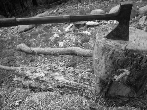 axe in stump