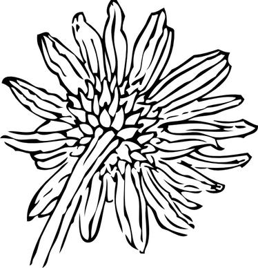 Back Of A Sunflower clip art