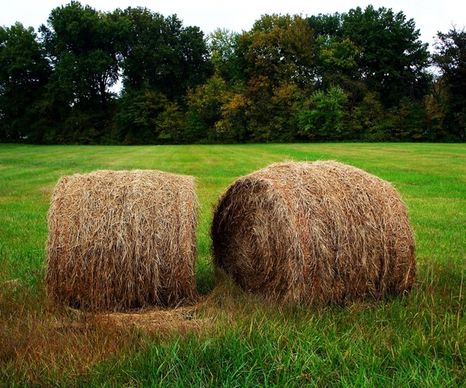 bails of hay