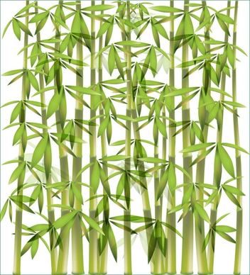bamboo background 01 vector