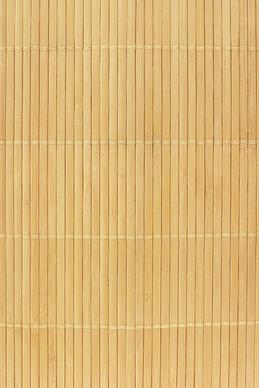 bamboo background picture