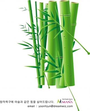 bamboo background closeup design green icon decor