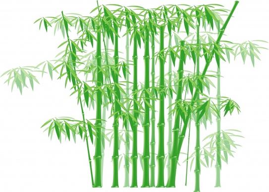 bamboo background classical design green white ornament