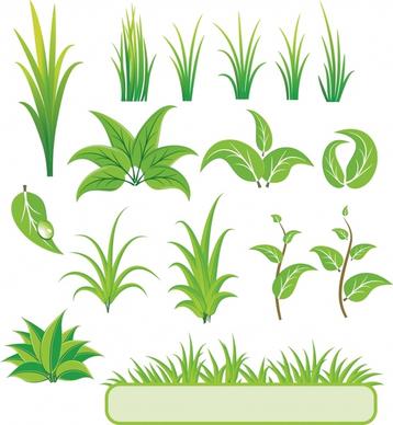 nature design elements green leaf grass icons