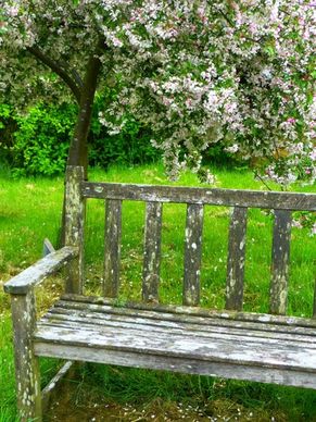bank garden bench sit