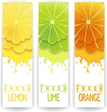 banner fresh fruit drink vector