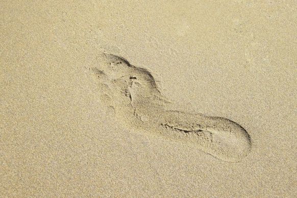 barefoot beach feet