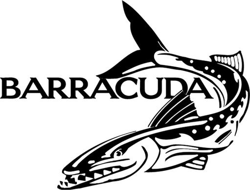 barracuda 0