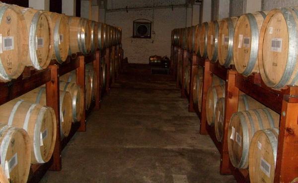 barrels of brandy