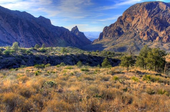 basin and mountains in the distance at big bend national park texas