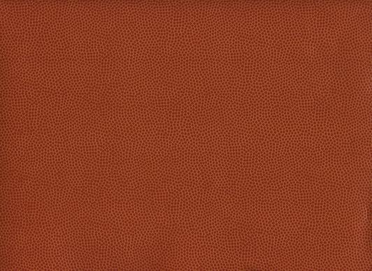 basketball leather texture