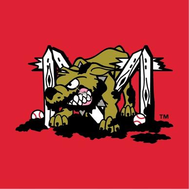 batavia muckdogs 1