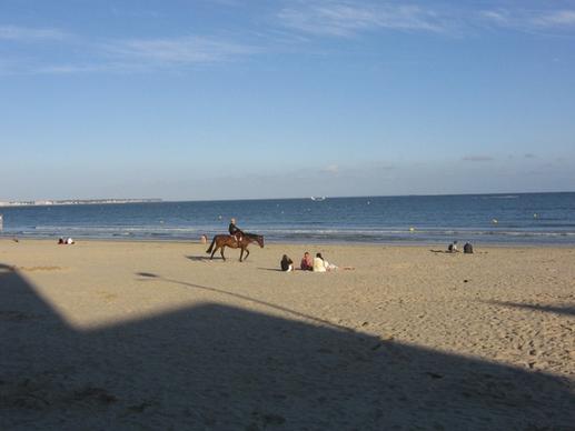 beach atlantic horse