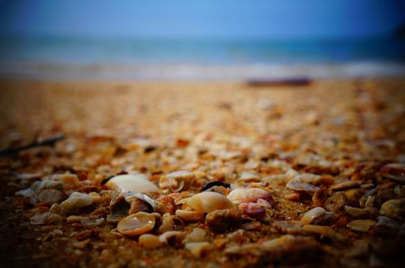 beach close up holiday ocean pebble rock sand sea