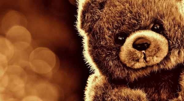 closeup of cute teddy bear on bokeh background