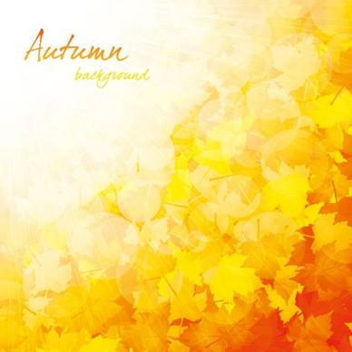 beautiful autumn background 03 vector
