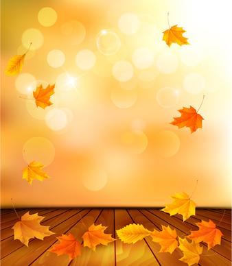 beautiful autumn leaves background vector