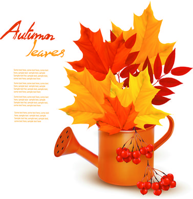 beautiful autumn leaves vector background graphics