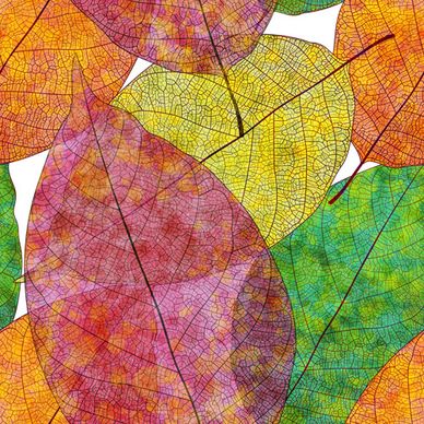 beautiful autumn leaves vector seamless pattern